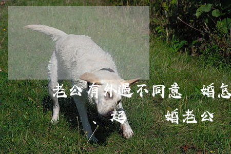 老公有外遇不同意離婚怎么辦(老婆有了外遇、起訴離婚,老公應(yīng)該怎么辦)